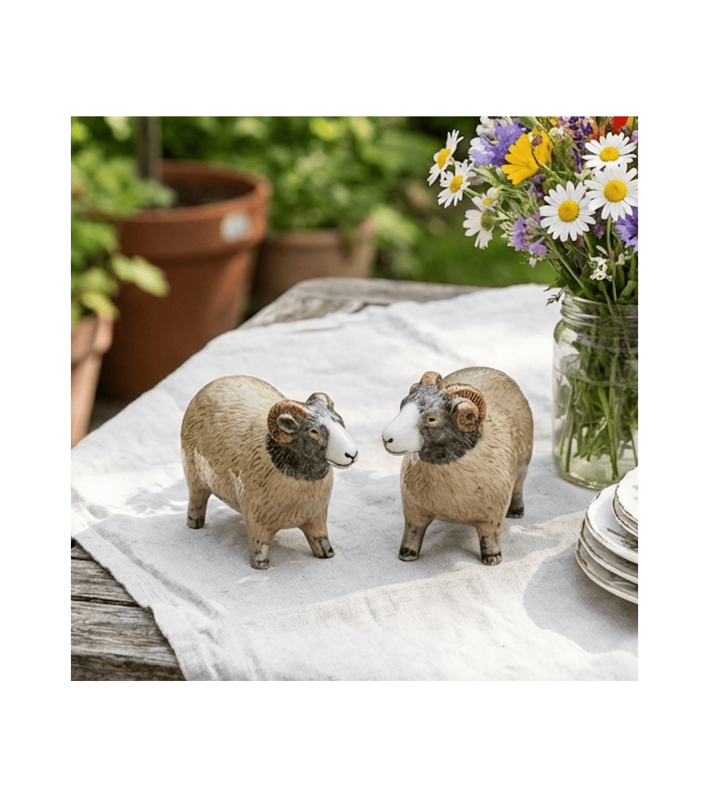 Mouton de Swaledale - Salière et Poivrier Quail Ceramics design sel saliere poivrier salier poivrière