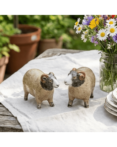 Swaledale Sheep - Salt and pepper shaker Quail Ceramics pots set shaker cute unique cool