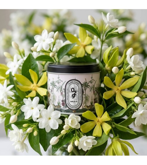 N°29 Ylang Ylang - Candela profumata naturale artigianale migliori candele profumate artigianali particolari