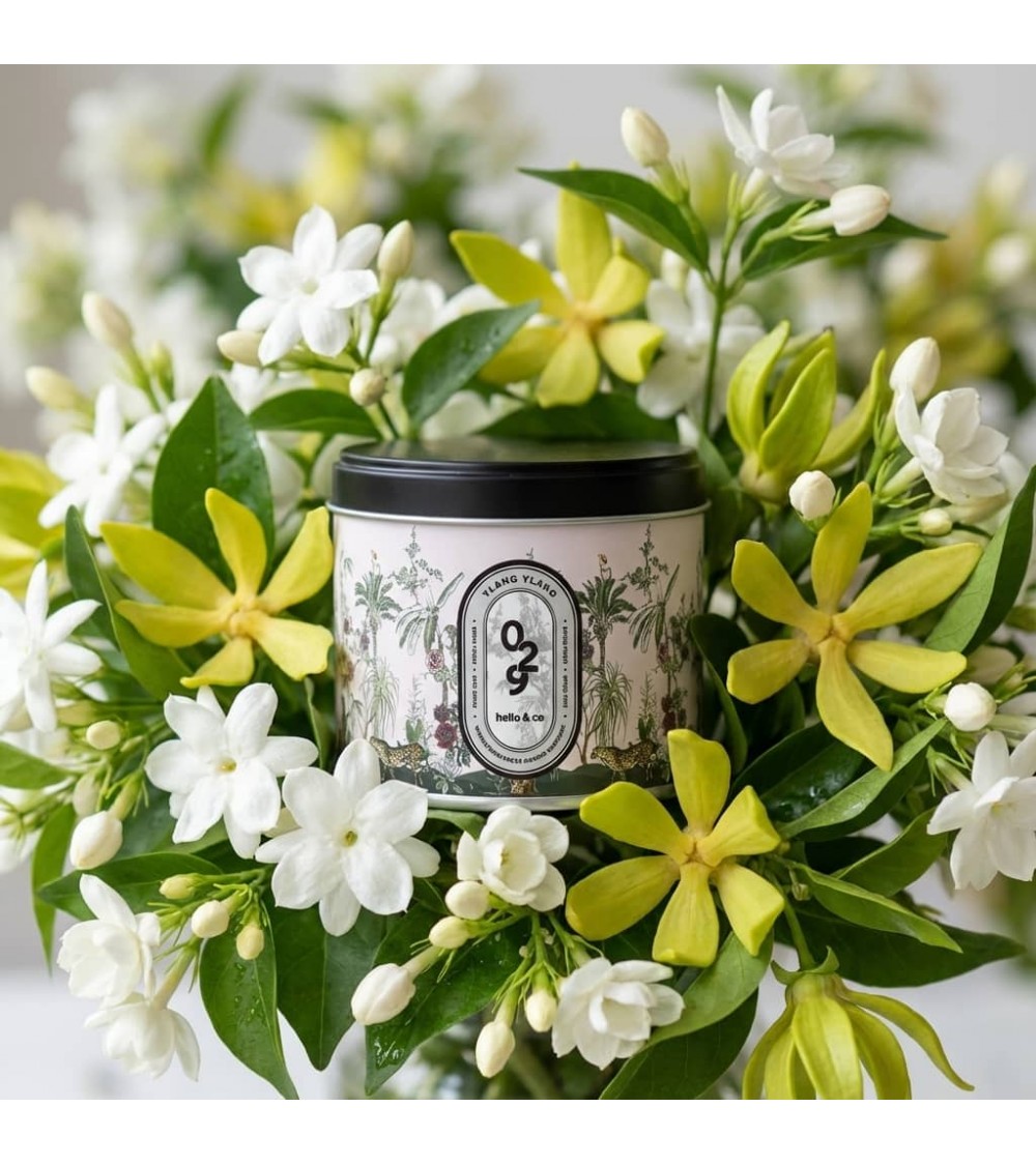 N°29 Ylang Ylang - Candela profumata naturale artigianale migliori candele profumate artigianali particolari