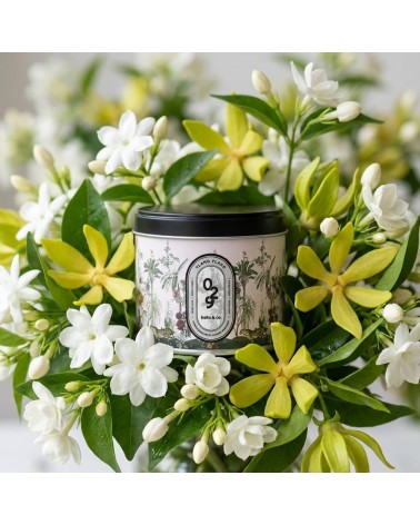 N°29 Ylang Ylang - Natural handmade scented candle handmade good smelling candles shop store