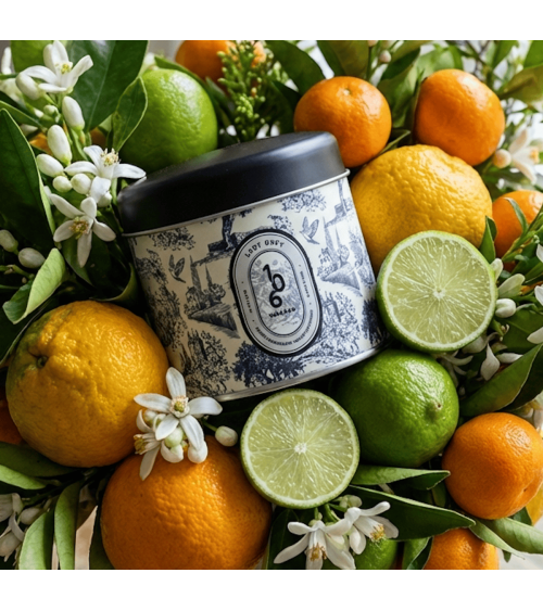N°106 Lady Grey - Natural handmade scented candle handmade good smelling candles shop store