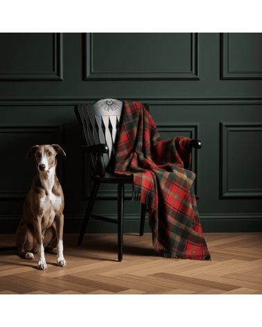 DARK MAPLE - Plaid scozzese in lana merino Bronte by Moon per divano plaides coperta 100 lana di qualità