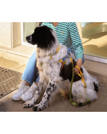 Harnais pour chien - Sonia - Mimosa et Mousse The Painter's Wife idée cadeau original suisse