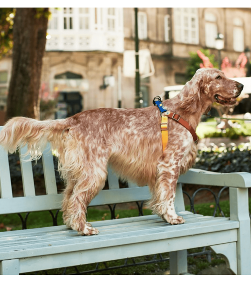 Hundegeschirre - Sonia - Mimose und Moos The Painter's Wife geschenkidee schweiz kaufen