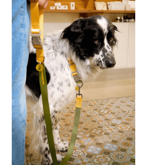 Hundehalsband - Sonia - Mimose und Moos The Painter's Wife geschenkidee schweiz kaufen