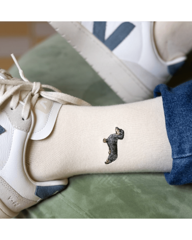 BePets - Calzini beige con motivo Bassotto ricamato Besocks calze da uomo per donna divertenti simpatici particolari