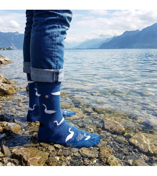Swan Lake - Fun Cotton Socks - Blue