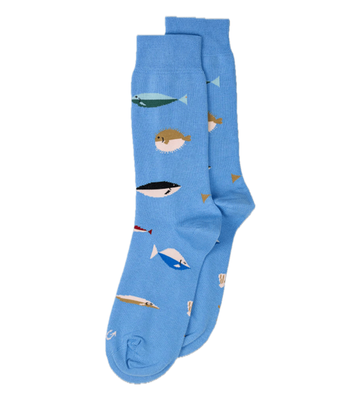 Fish - Fun Cotton Socks - Light Blue