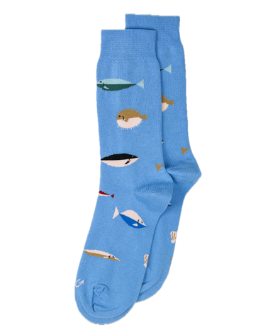 Fische - Coole Socken aus Baumwolle - Hellblau Alfredo Gonzales socke kuschelsocken für damen lustig herren farbige coole socken