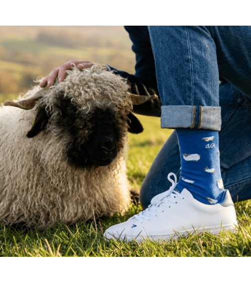 Moutons - Chaussettes fantaisie en coton - Bleu Alfredo Gonzales jolies pour femme originales pour homme chausset rigolotes d...