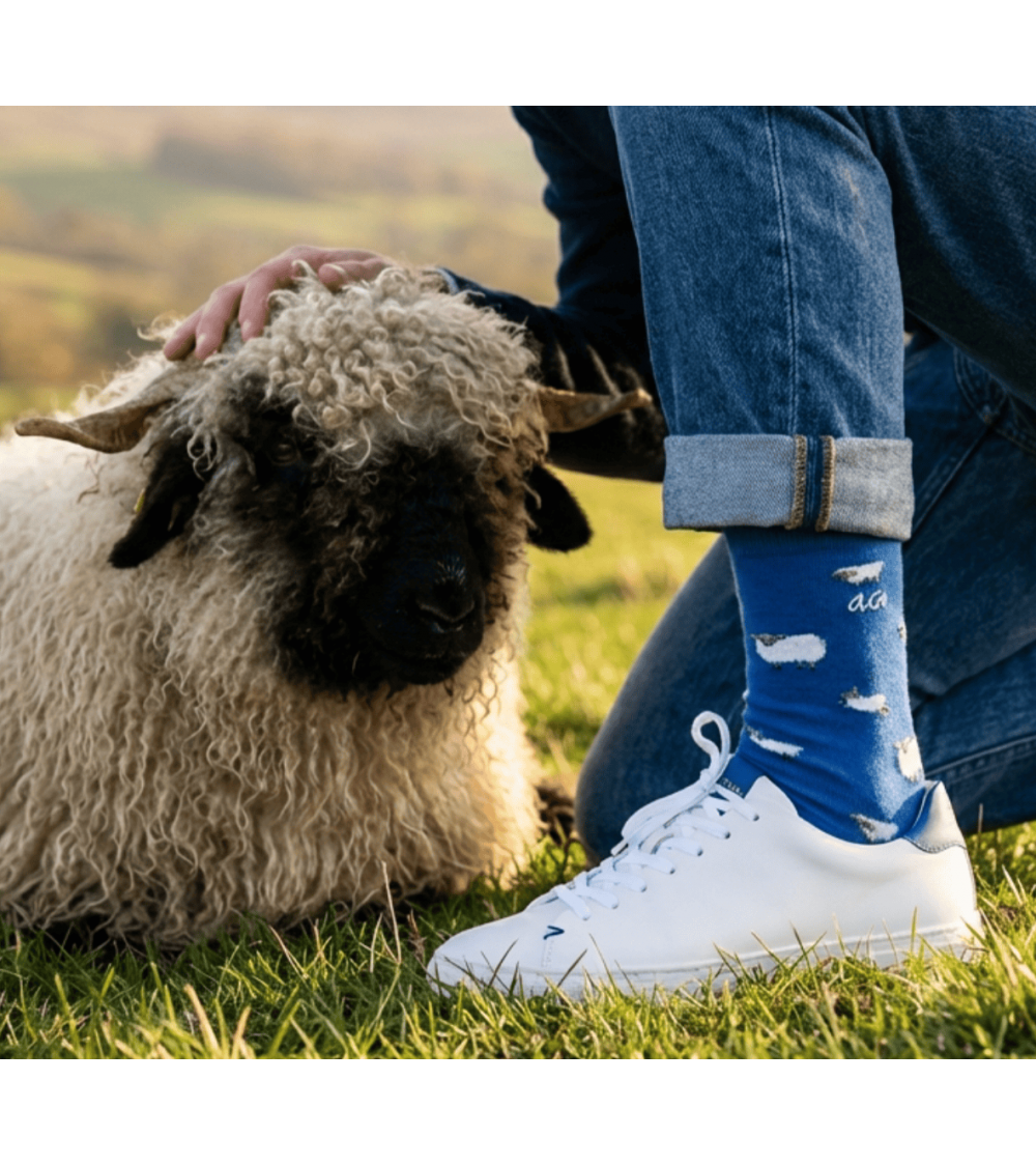 Schafe - Lustige Socken mit Motiv - Blau Alfredo Gonzales socke kuschelsocken für damen lustig herren farbige coole socken