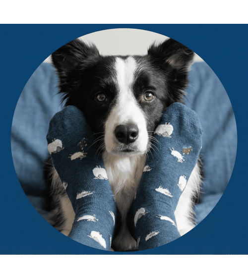 Sheep - Fun Merino Wool Socks - Petrol Blue
