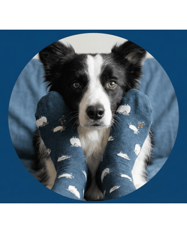 Moutons - Chaussettes en laine mérinos - Bleu Pétrole Alfredo Gonzales jolies pour femme originales pour homme chausset rigol...