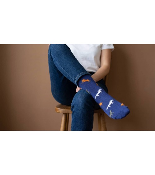 Cavalli - Calze divertenti in cotone - Blu