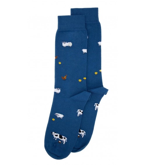 Farm Animals - Fun Cotton Socks - Blue