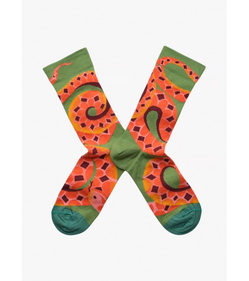 Serpent Avocat - Chaussettes en coton égyptien Bonne Maison jolies pour femme originales pour homme chausset rigolotes drole ...