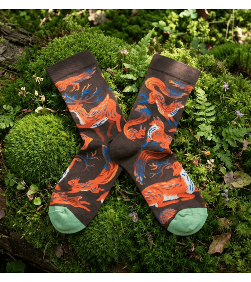 Chaussettes Animaux Terre d'Ombre Bonne Maison jolies pour femme originales pour homme chausset rigolotes drole Suisse