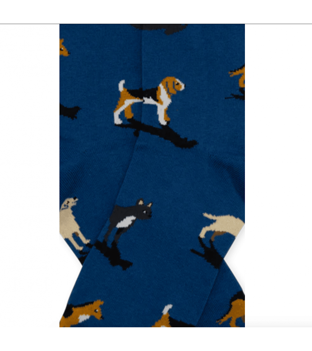 Chiens - Chaussettes originales en coton - Bleu Marine Alfredo Gonzales jolies pour femme originales pour homme chausset rigo...