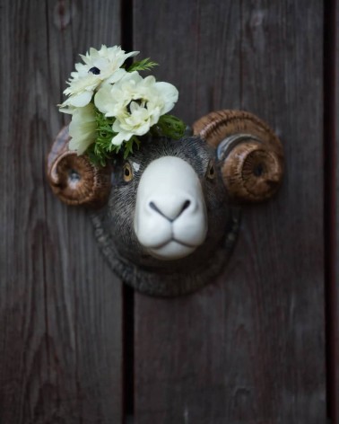 Vaso da parete - Pecora di Swaledale Quail Ceramics vasi eleganti per interni per fiori decorativi design kitatori svizzera