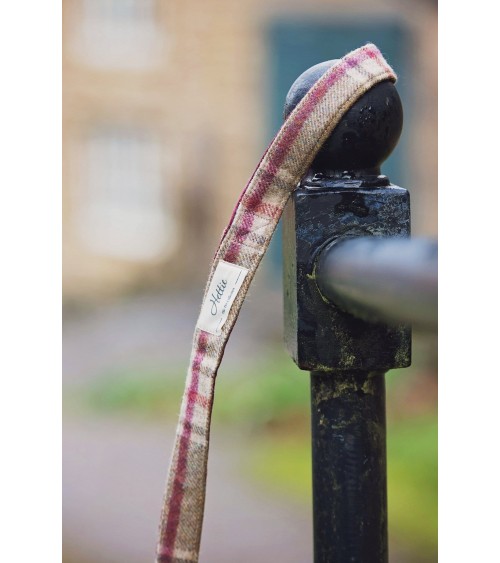 Dog Lead - Arncliffe Moonstone Hettie original gift idea switzerland