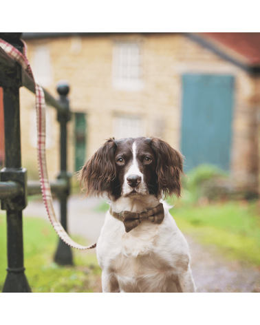 Dog Lead - Arncliffe Moonstone Hettie original gift idea switzerland
