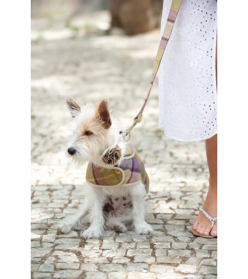 Dog Lead - Gargrave Lilac Hettie original gift idea switzerland