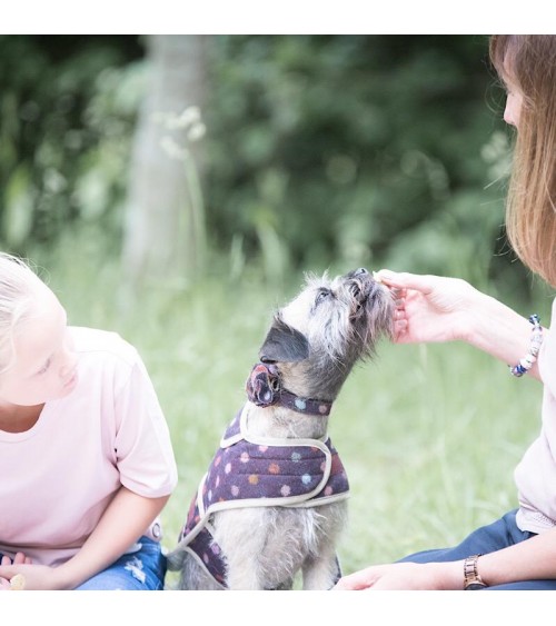 Dog Collar - Multispot Wine Hettie original gift idea switzerland