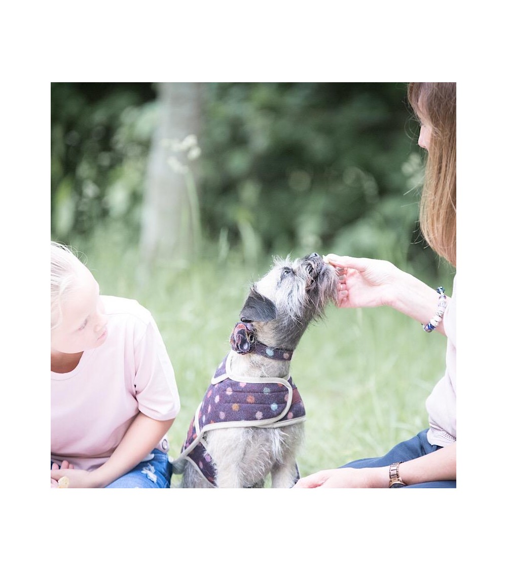 Dog Collar - Multispot Wine Hettie original gift idea switzerland