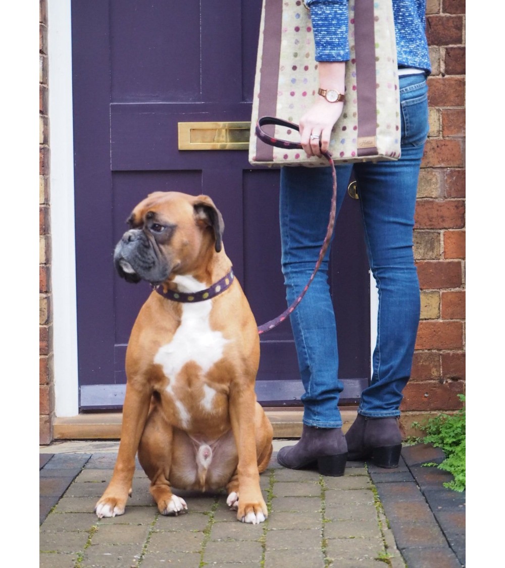 Hundehalsband - Multispot Wine Hettie geschenkidee schweiz kaufen