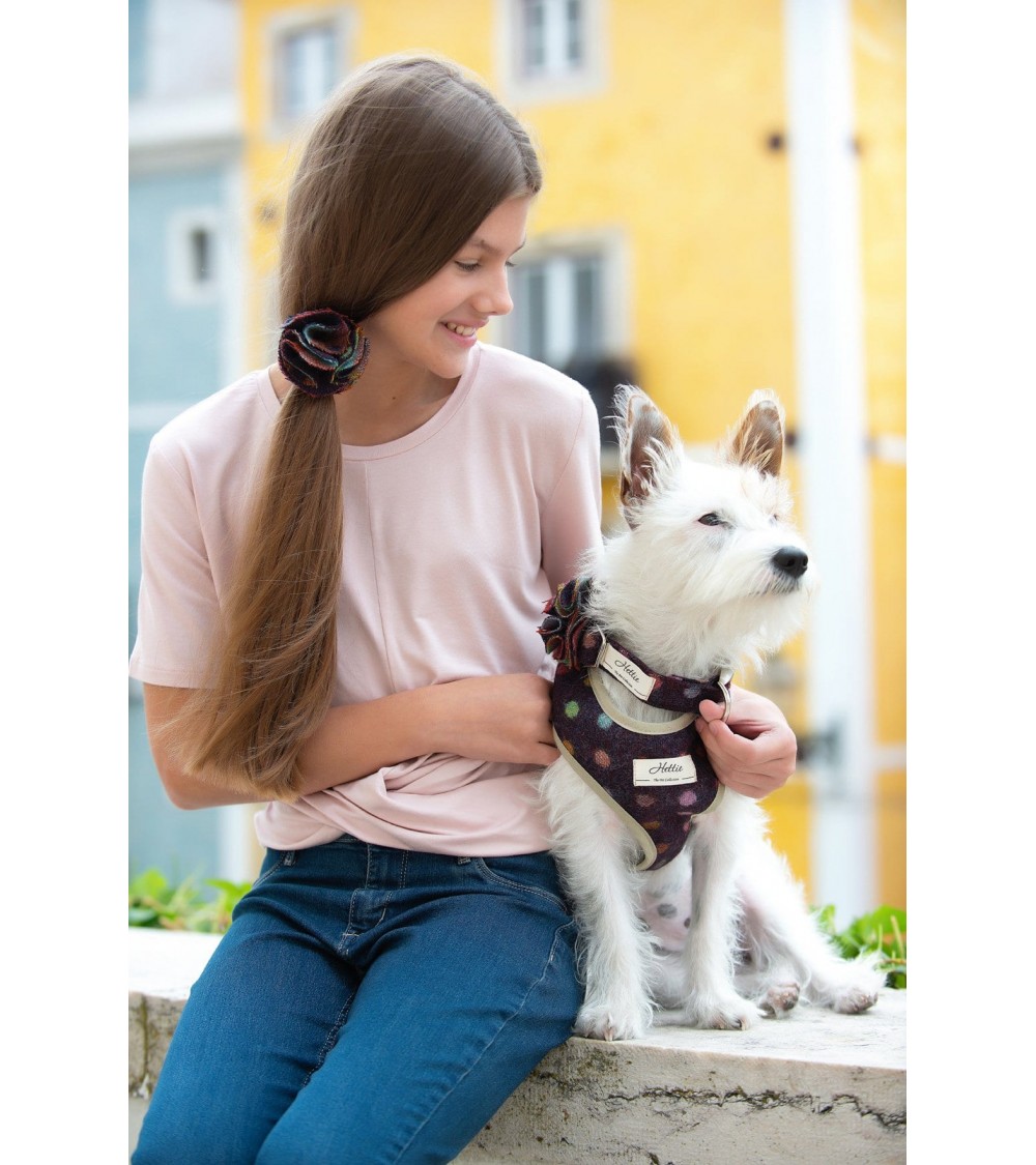 Dog Collar - Multispot Wine Hettie original gift idea switzerland