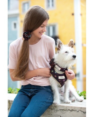 Collier pour chien - Multispot Wine Hettie idée cadeau original suisse