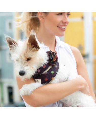 Collier pour chien - Multispot Wine Hettie idée cadeau original suisse