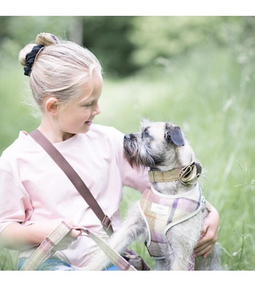 Dog Collar - Gargrave Lilac Hettie original gift idea switzerland