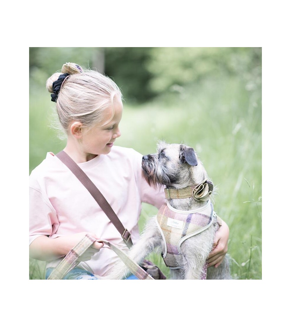 Dog Collar - Gargrave Lilac Hettie original gift idea switzerland