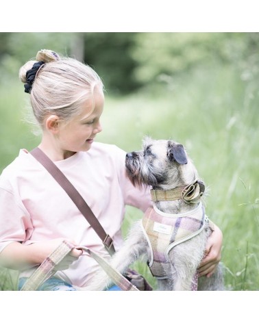 Hundehalsband - Gargrave Lilac Hettie geschenkidee schweiz kaufen