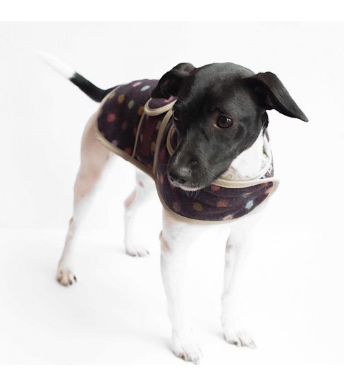Dog Coat - Multispot Wine Hettie Dog Coat and Raincoat design switzerland original