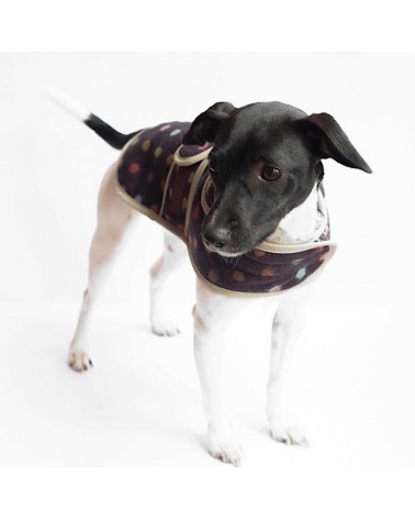Cappotto per cani - Multispot Wine Hettie idea regalo svizzera