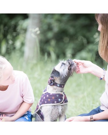 Cappotto per cani - Multispot Wine Hettie idea regalo svizzera