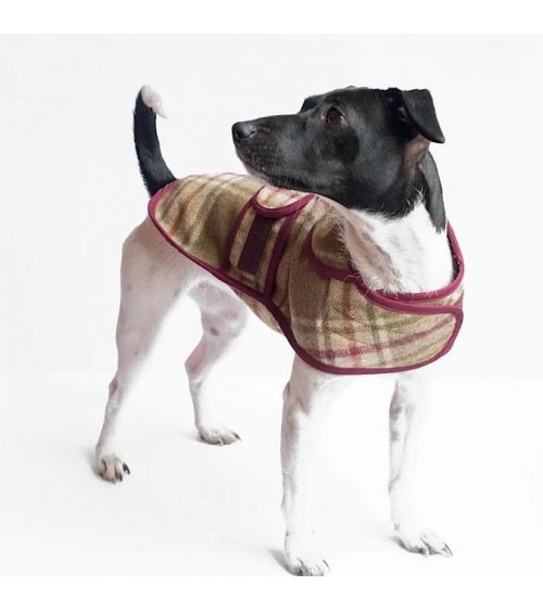 Dog Coat - Arncliffe Moonstone Hettie Dog Coat and Raincoat design switzerland original