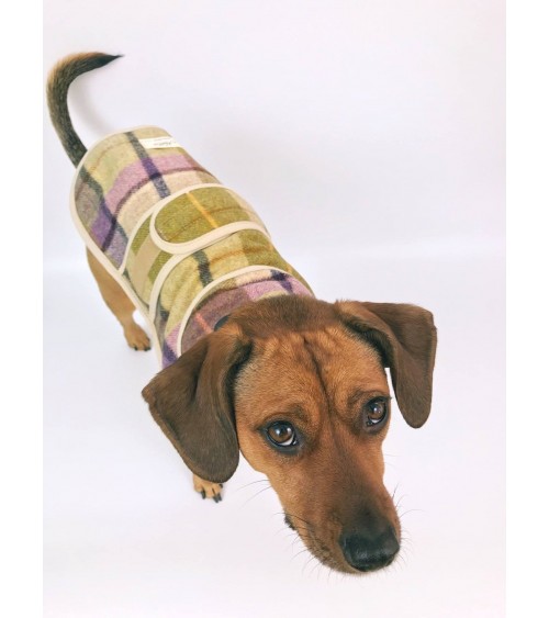 Cappotto per cani - Gargrave Lilac Hettie Cappotto e Impermeabili per cani design svizzera originale