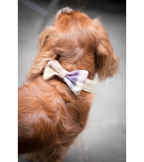 Dog Bowtie - Gargrave Lilac Hettie original gift idea switzerland