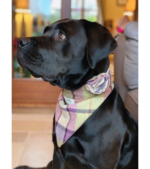 Collare per cani accessorio floreale - Gargrave Lilac Hettie idea regalo svizzera