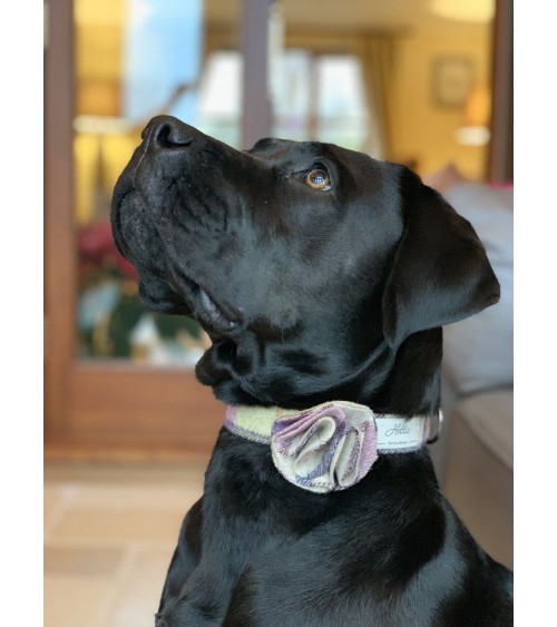 Dog Collar Flower Accessory - Gargrave Lilac Hettie original gift idea switzerland