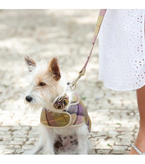 Collare per cani accessorio floreale - Gargrave Lilac Hettie Accessori per cani design svizzera originale