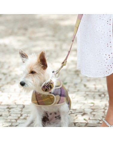 Dog Collar Flower Accessory - Gargrave Lilac Hettie original gift idea switzerland