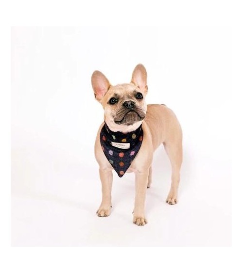 Bandana per Cani - Multispot Wine Hettie idea regalo svizzera