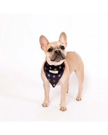 Bandana per Cani - Multispot Wine Hettie idea regalo svizzera