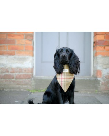 Bandana per Cani - Arncliffe Moonstone Hettie idea regalo svizzera