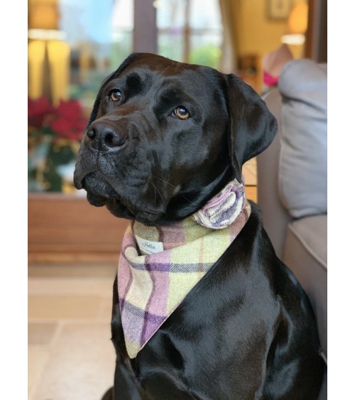 Dog Bandana - Gargrave Lilac Hettie original gift idea switzerland